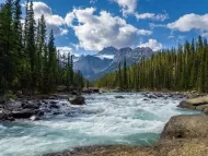 Risposta al cambiamento climatico e conservazione
