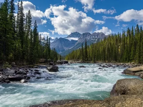 Risposta al cambiamento climatico e conservazione